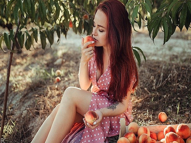 Женщина собирает в саду вкусные свежие персики