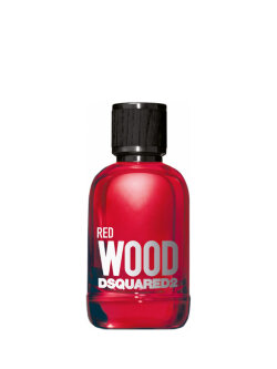 Отзыв о DSQUARED² Red Wood 