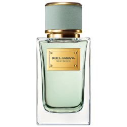 Dolce & Gabbana Velvet Infusion