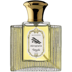 Detaille Aeroplane