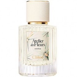 Chloé Cedrus Limited Edition