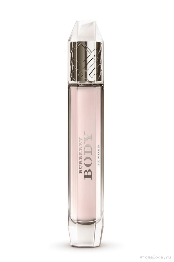 Burberry body perfume 85ml price hot sale