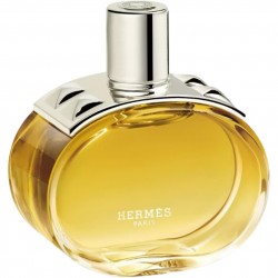 Hermès Barénia Intense