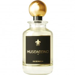 1907 Muscaccino